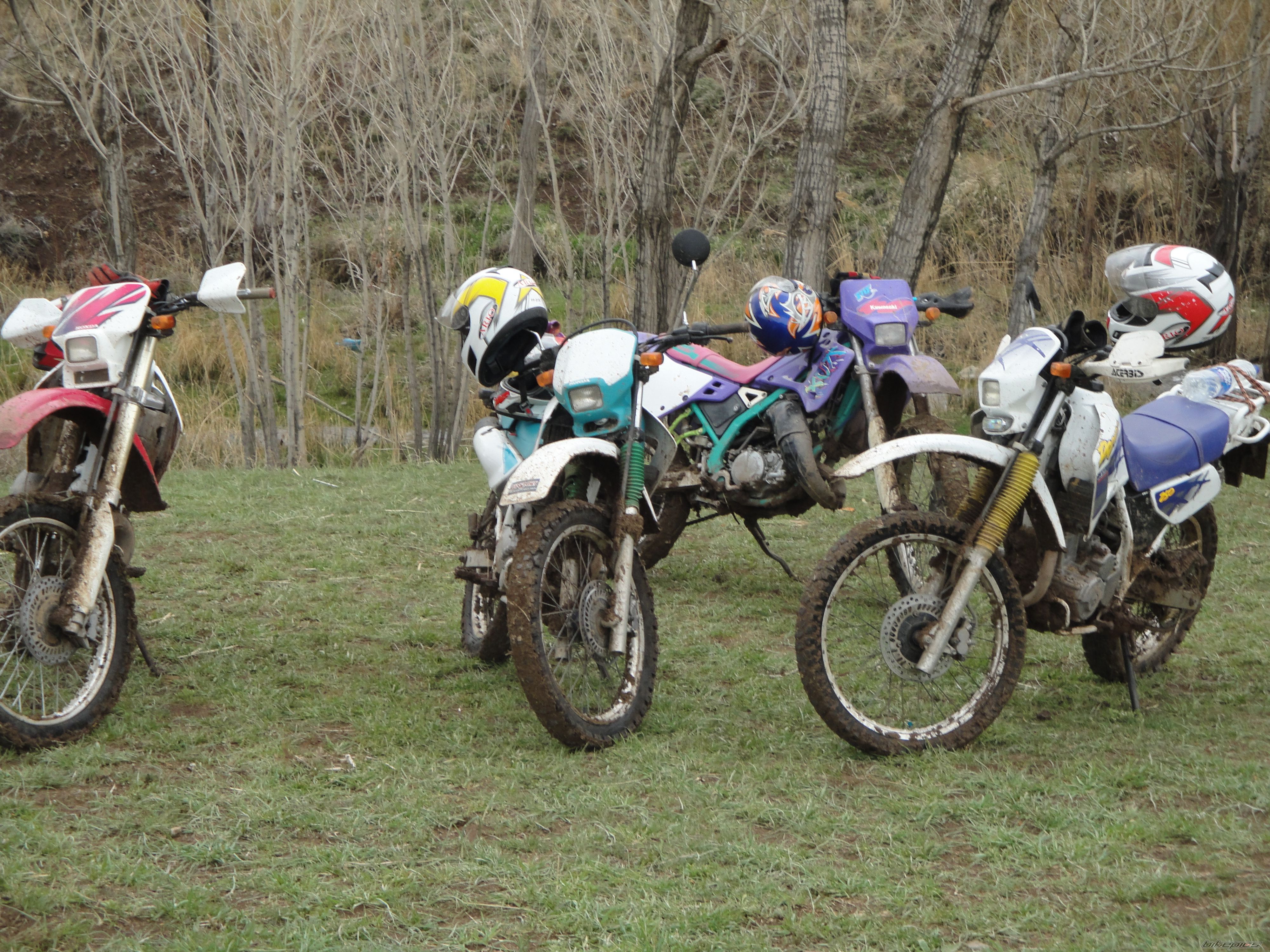 Photo 2364837