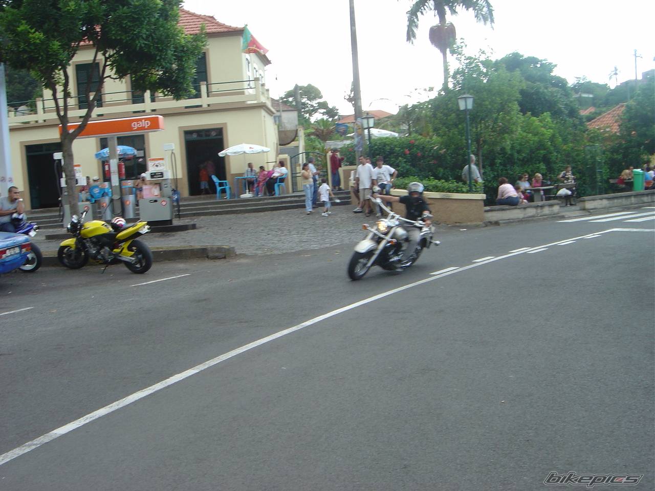 Photo 236502