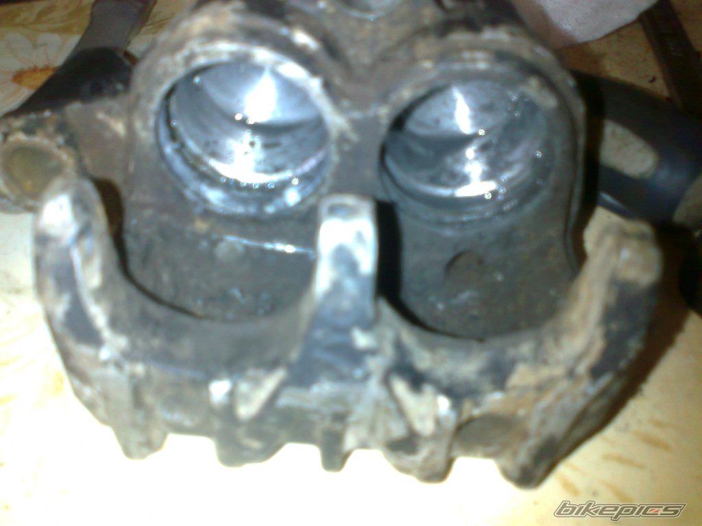Photo 2365093