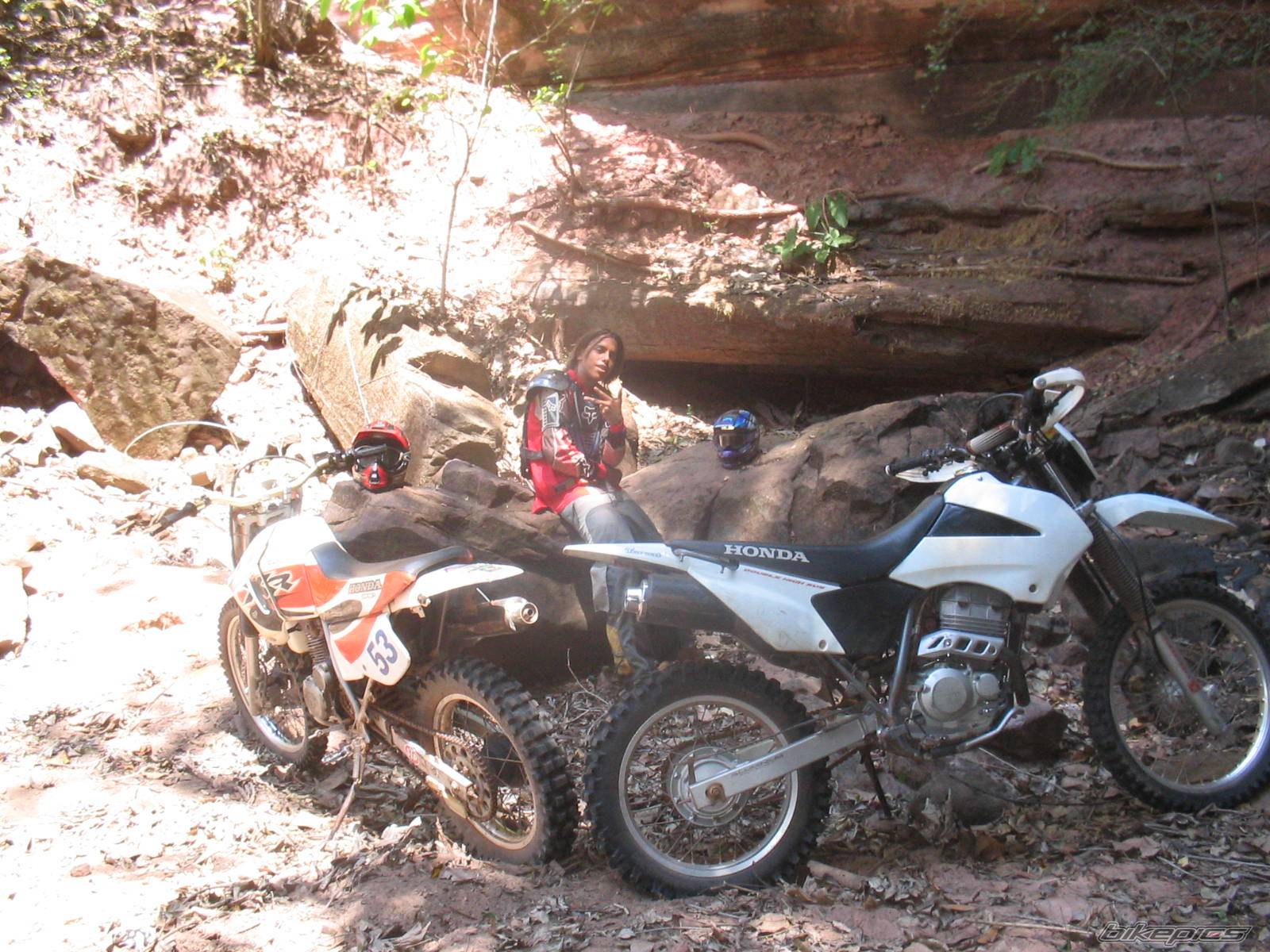 Bike Photo 236528