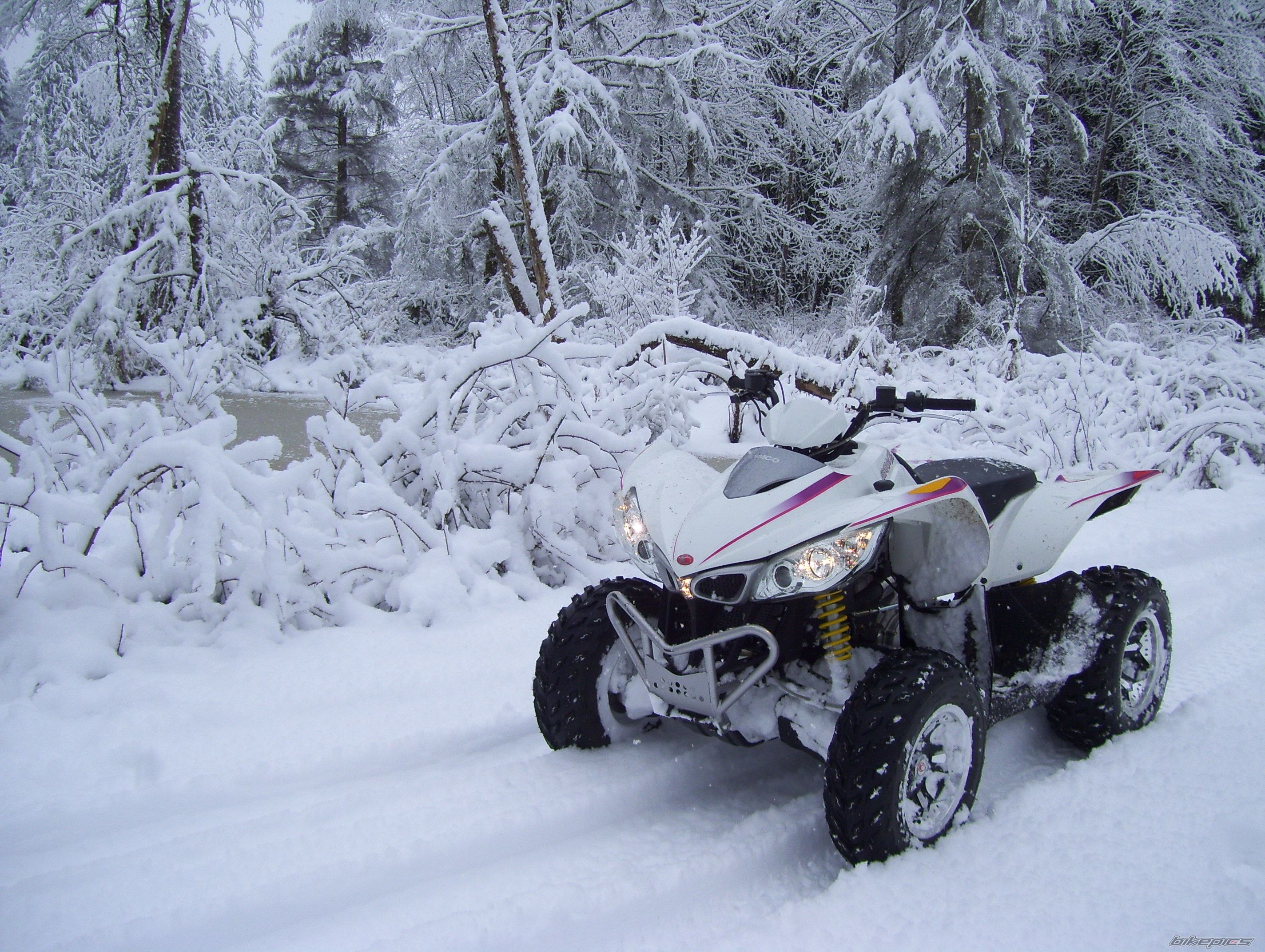 Photo 2365280