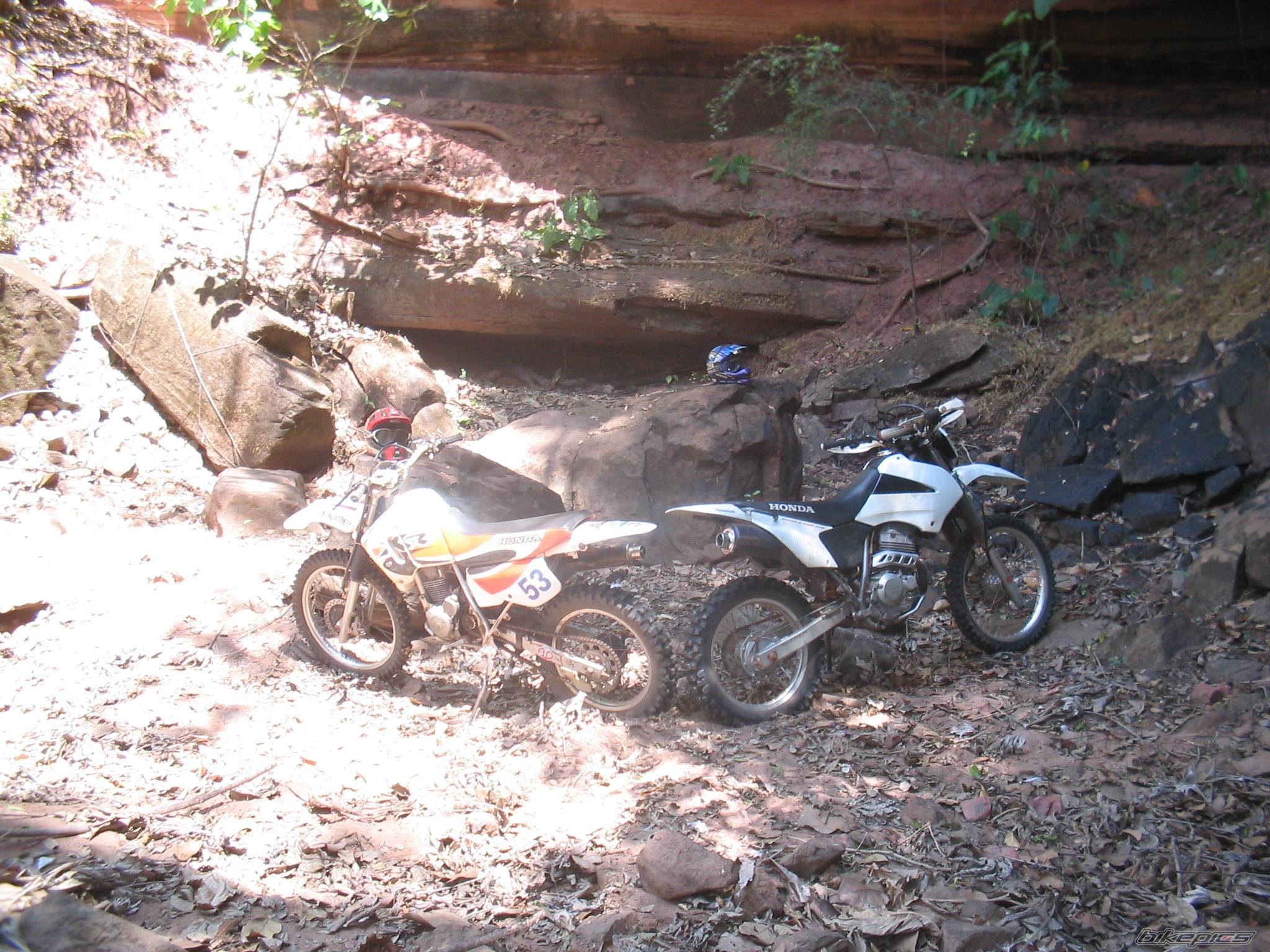 Bike Photo 236529