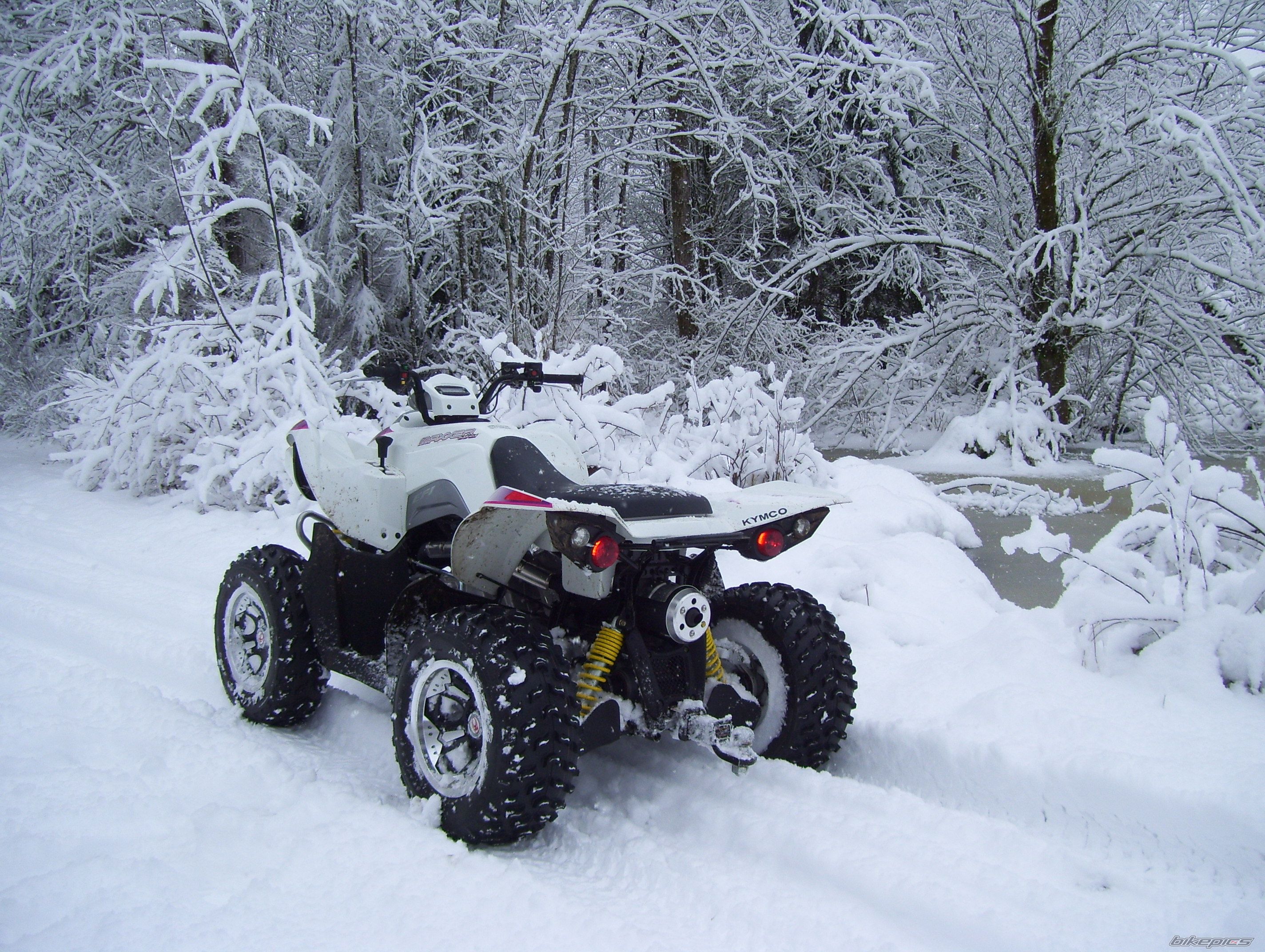 Photo 2365302