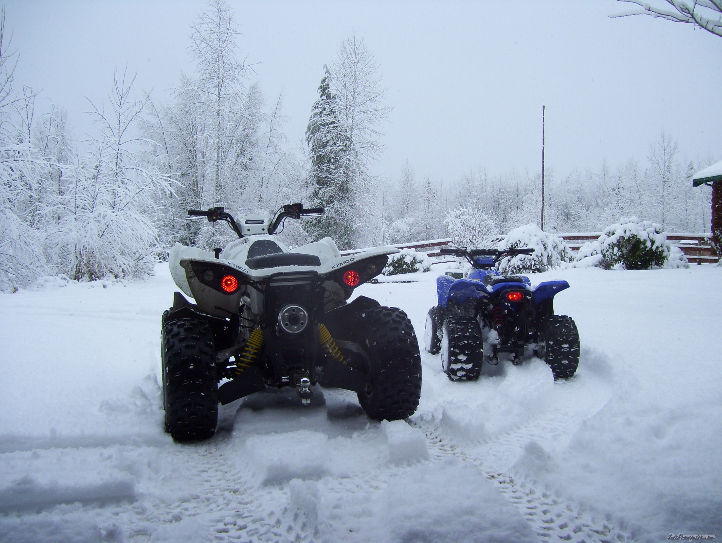 Photo 2365305