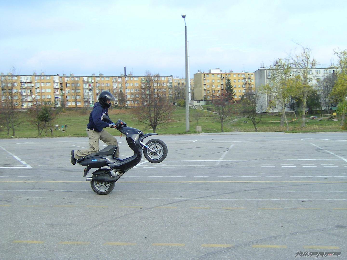 Photo 236533