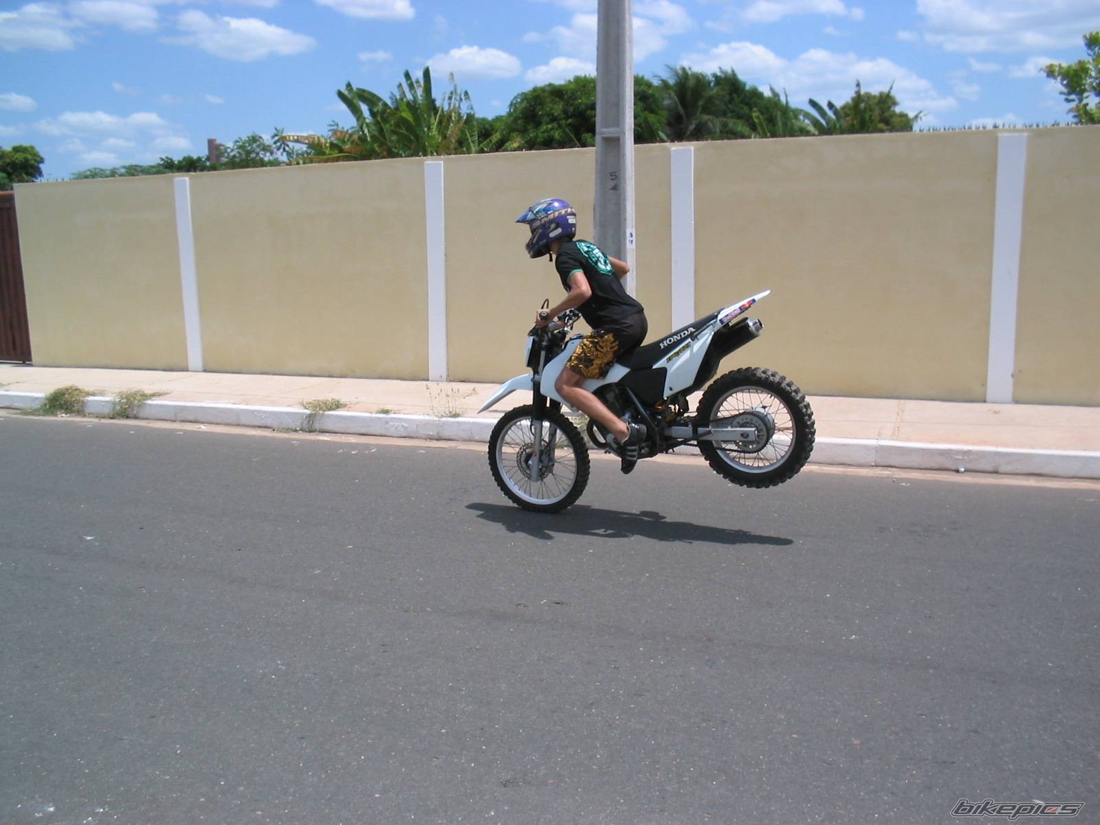 Bike Photo 236540