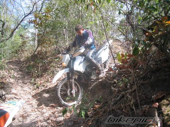Bike Photo 236541