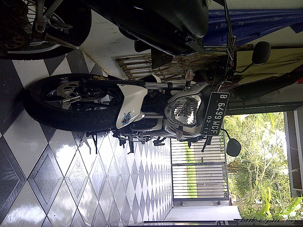 Photo 2365525