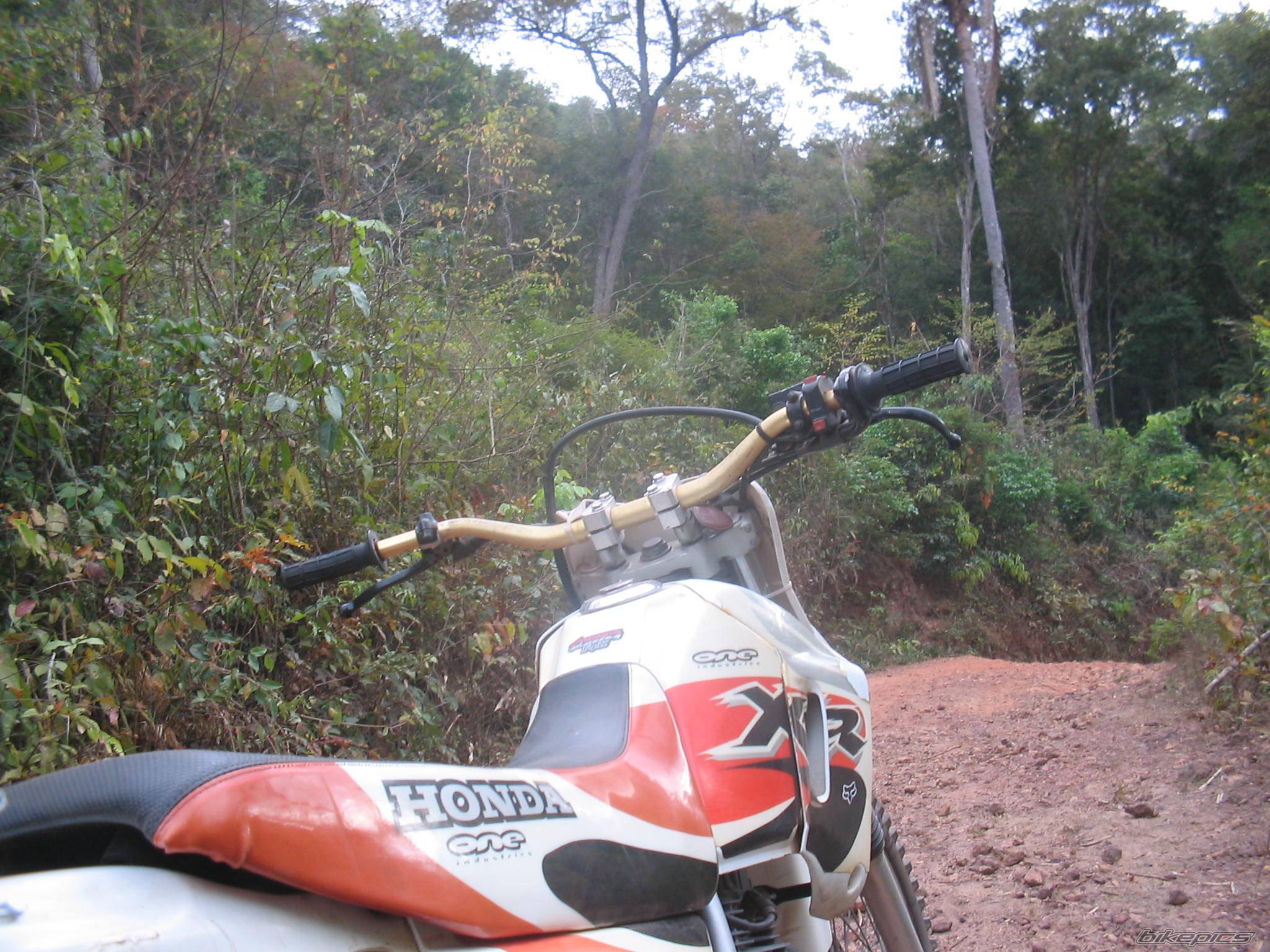 Bike Photo 236560