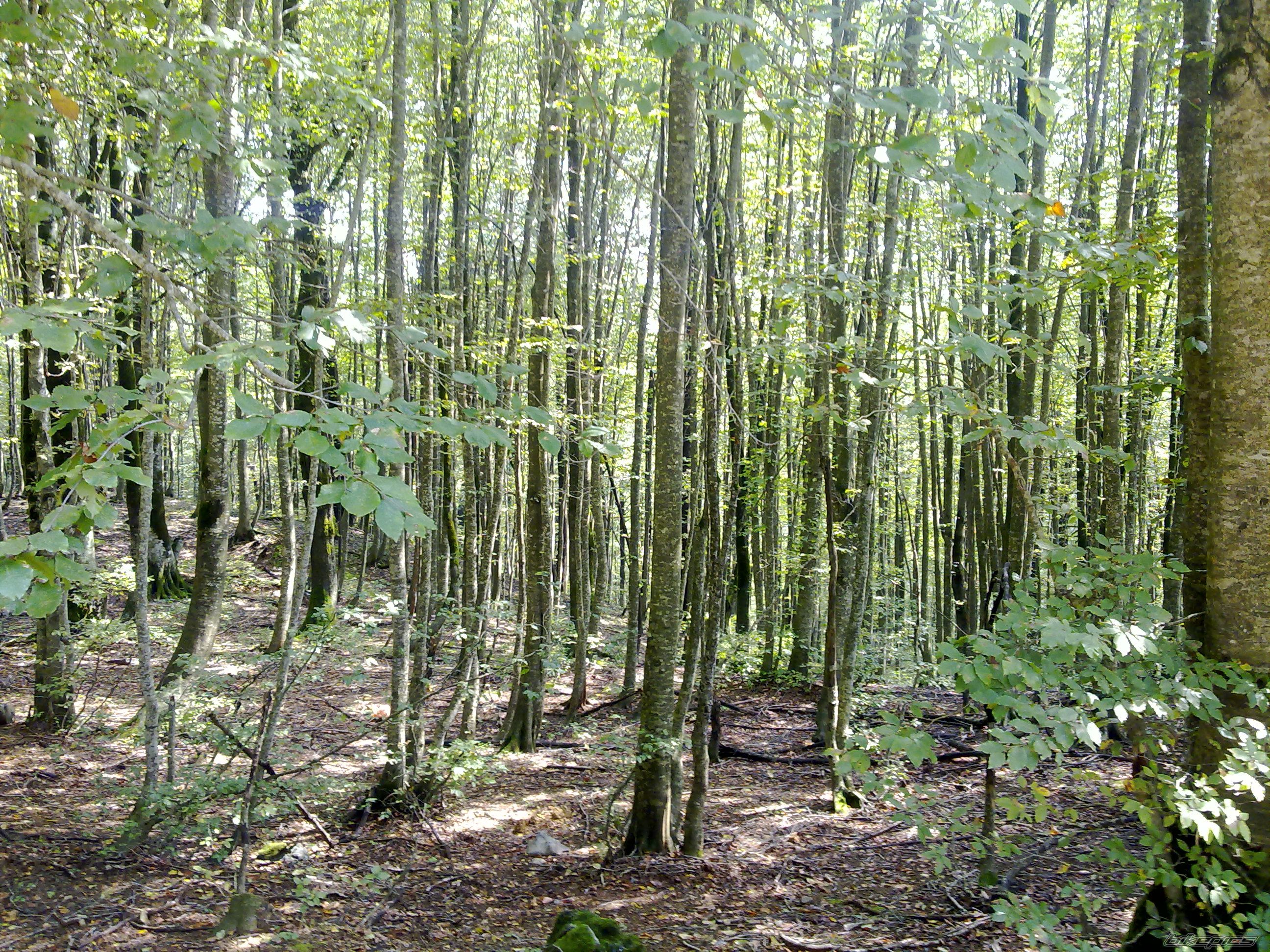 Photo 2365627