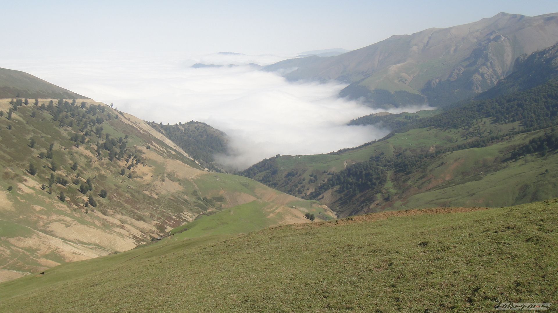 Photo 2365632