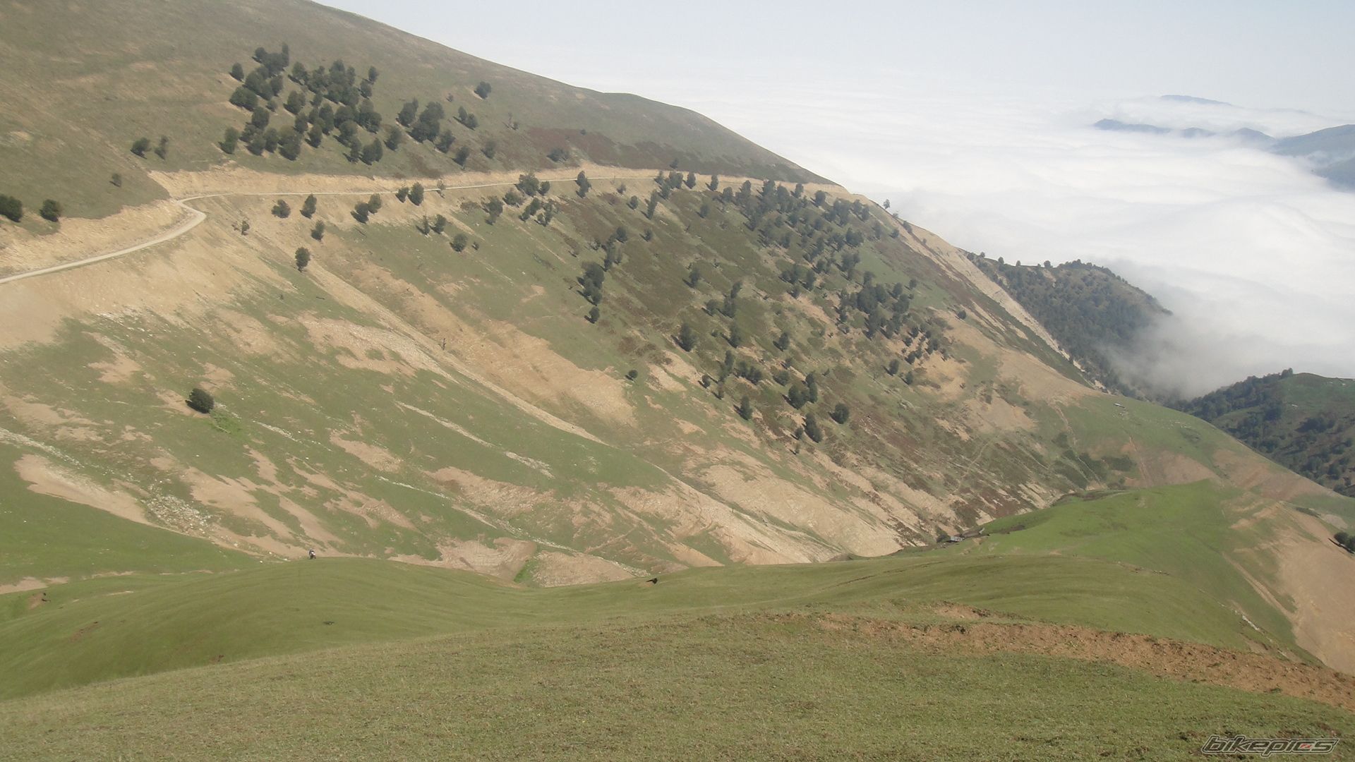 Photo 2365635