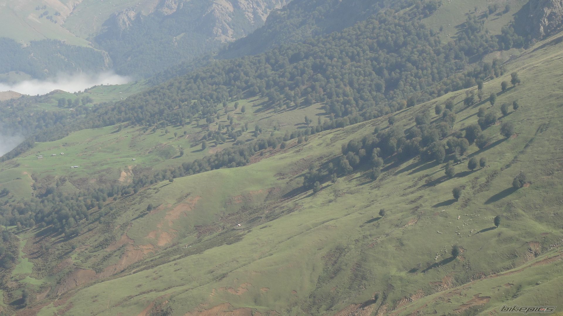 Photo 2365636