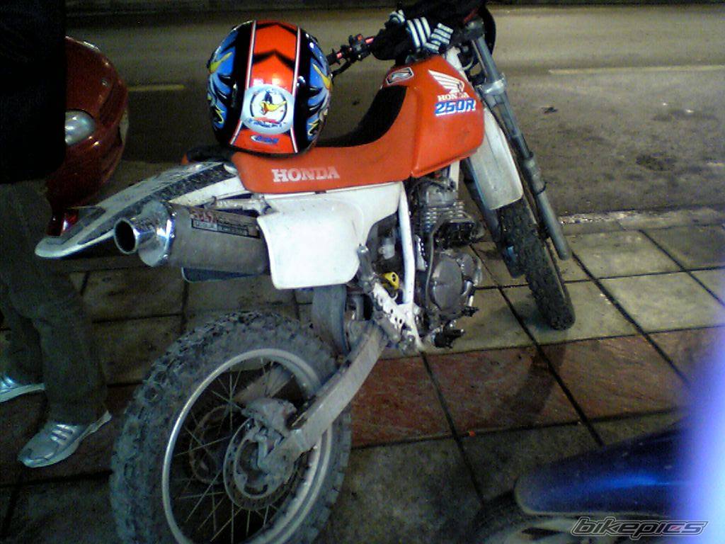 Photo 236566