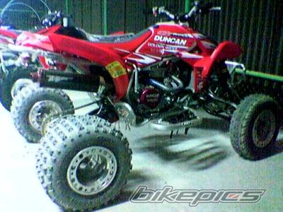 Photo 236577