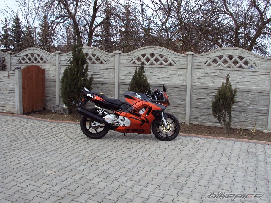 Photo 2365808