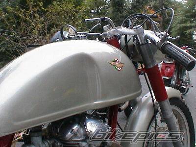 Photo 236586