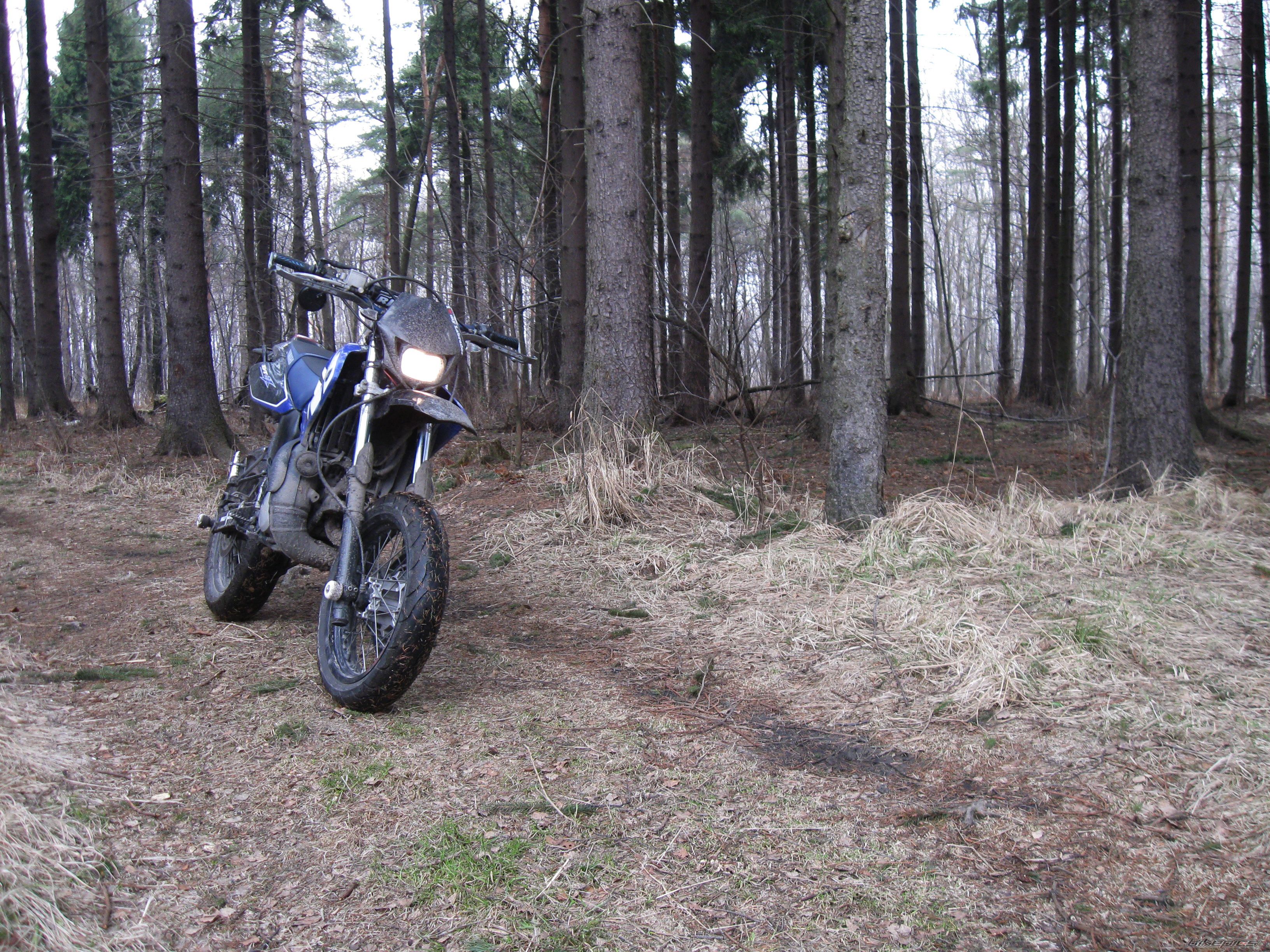 Photo 2365920