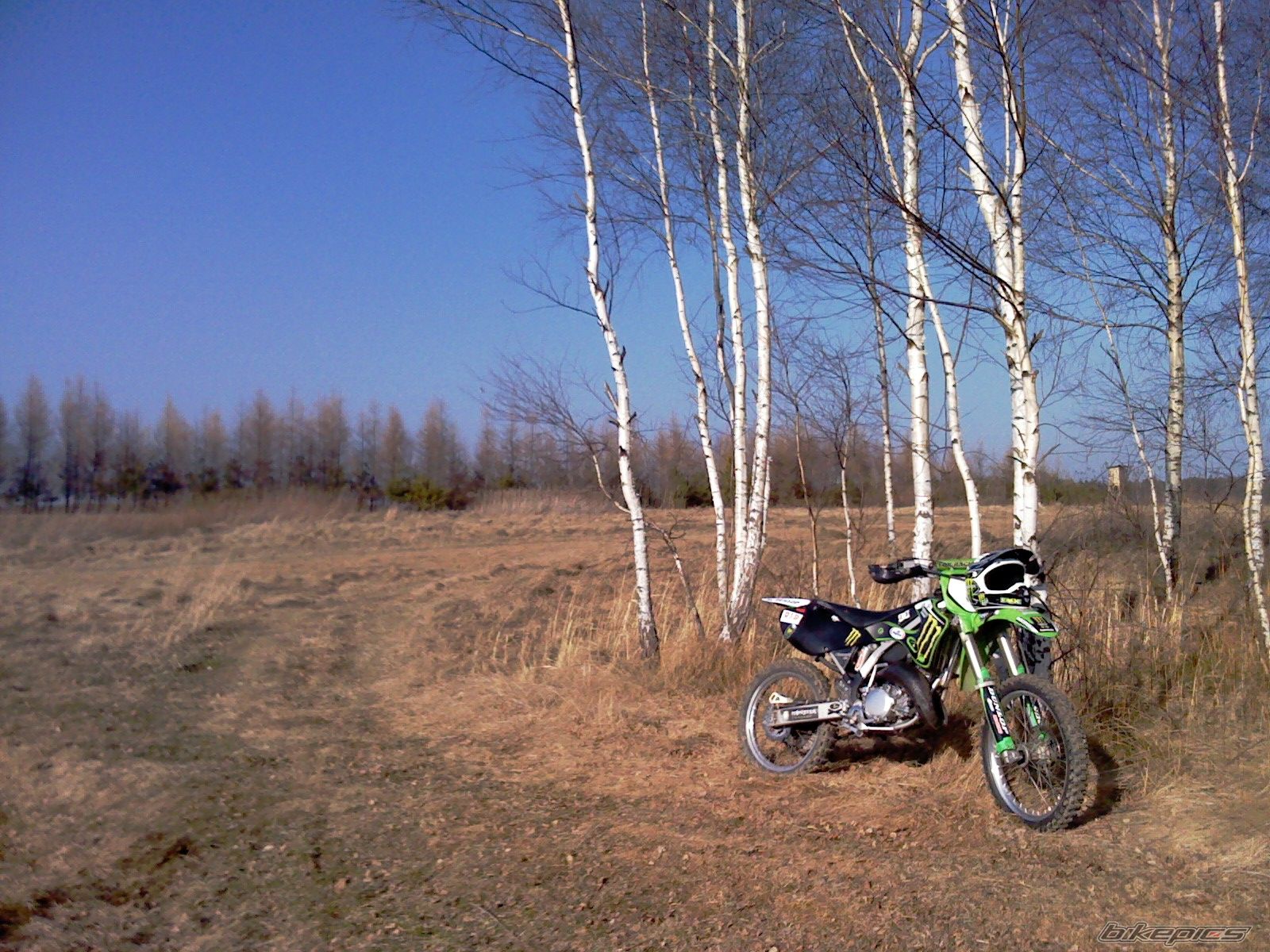 Photo 2366289