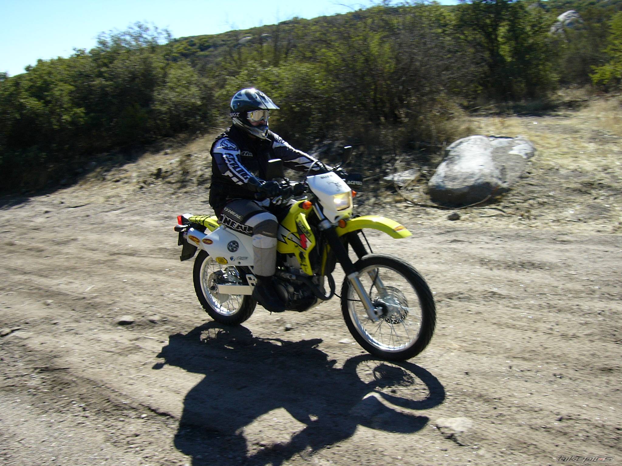 Photo 236637
