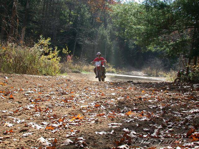 Bike Photo 236657