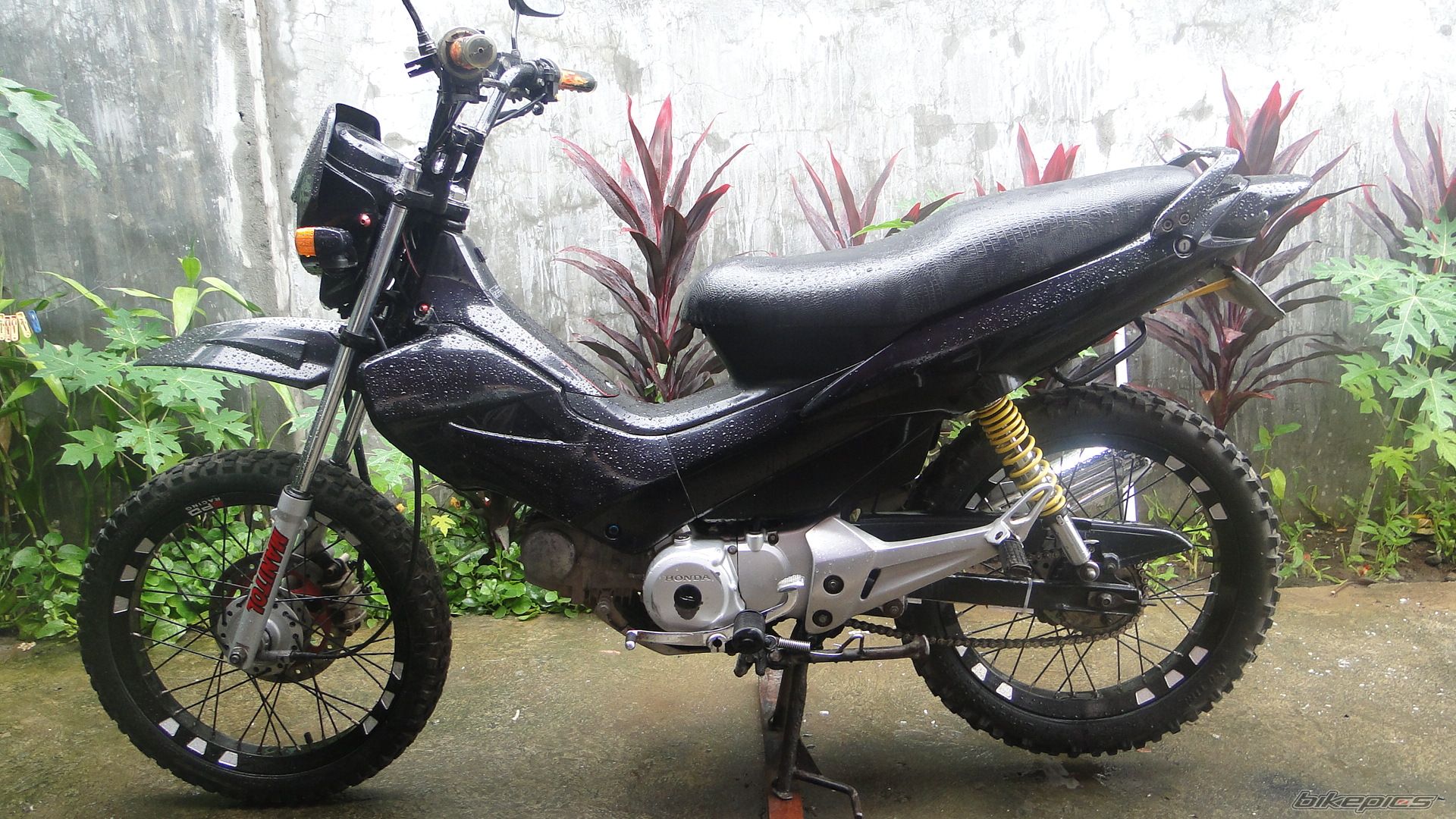 Photo 2366661