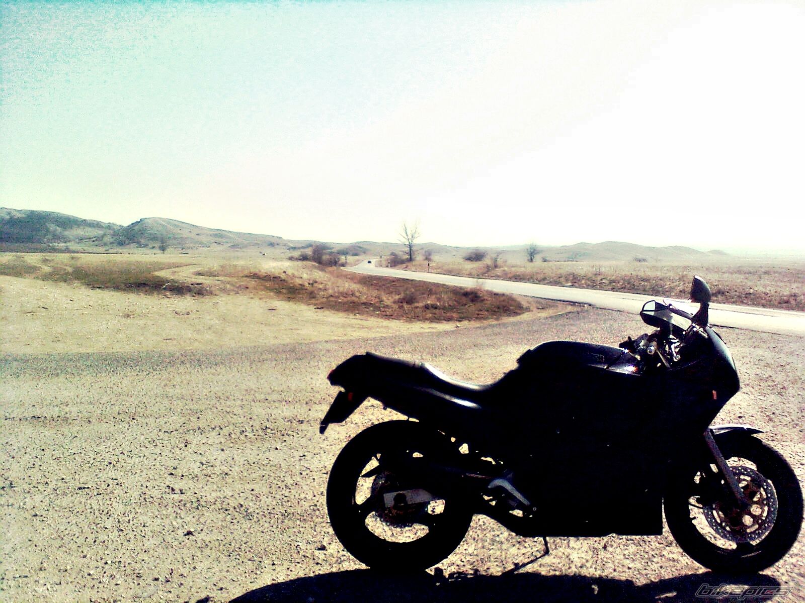 Photo 2366894