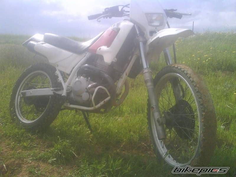 Photo 2366921