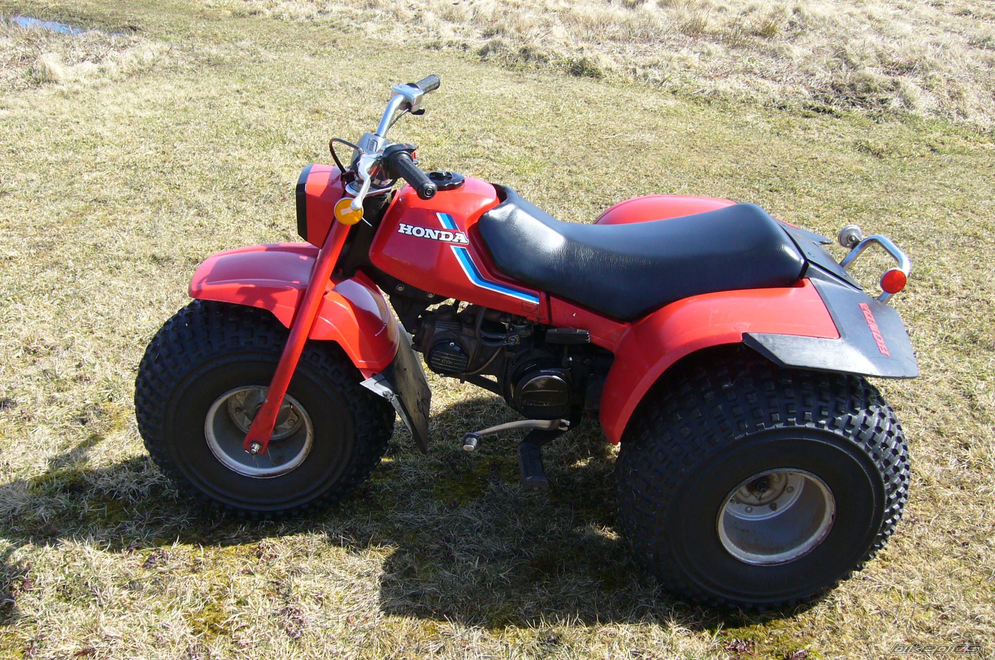 Photo 2367039