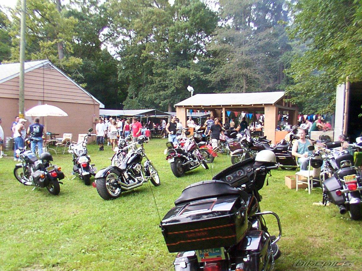 Photo 236733