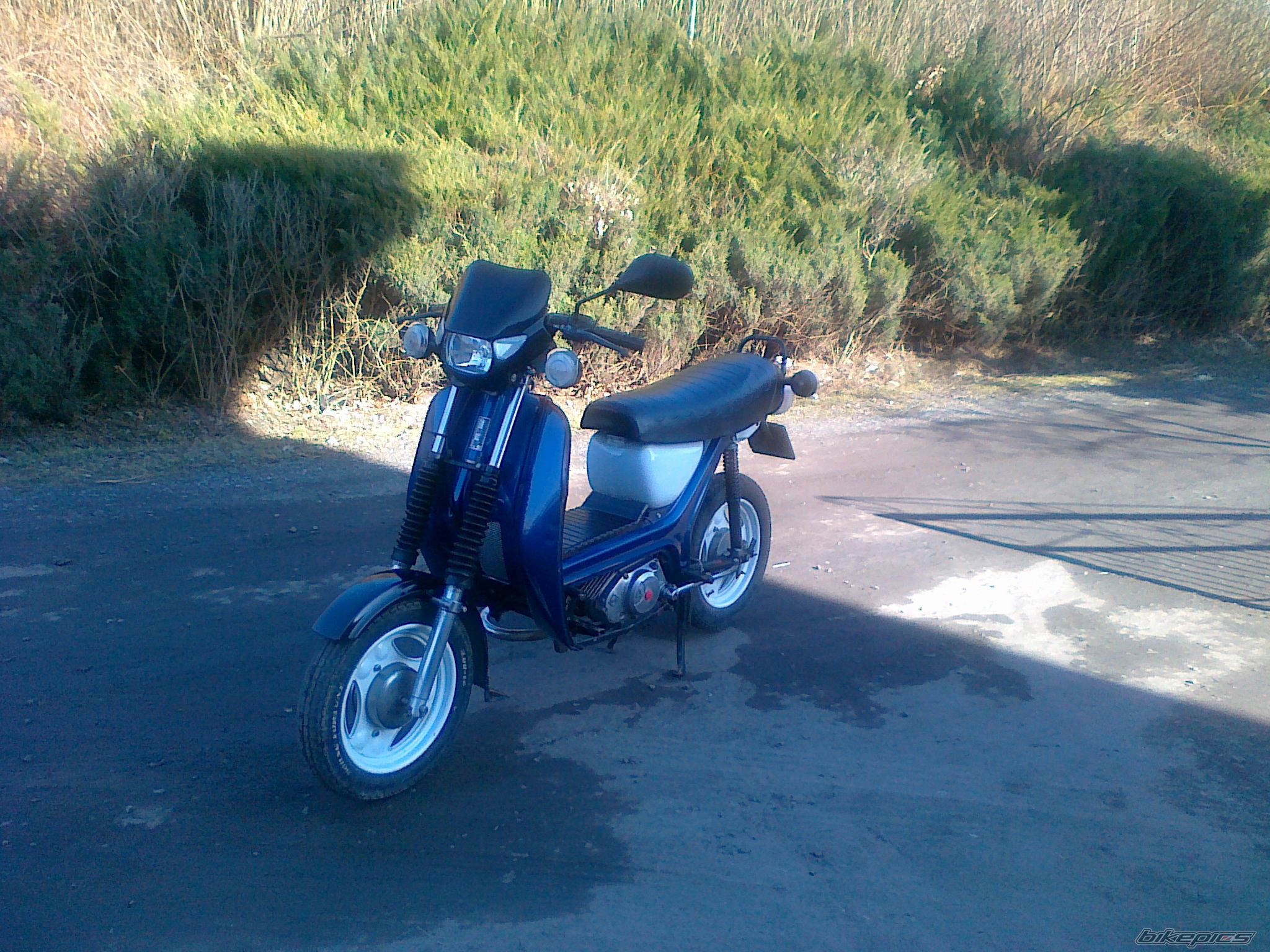 Photo 2367395