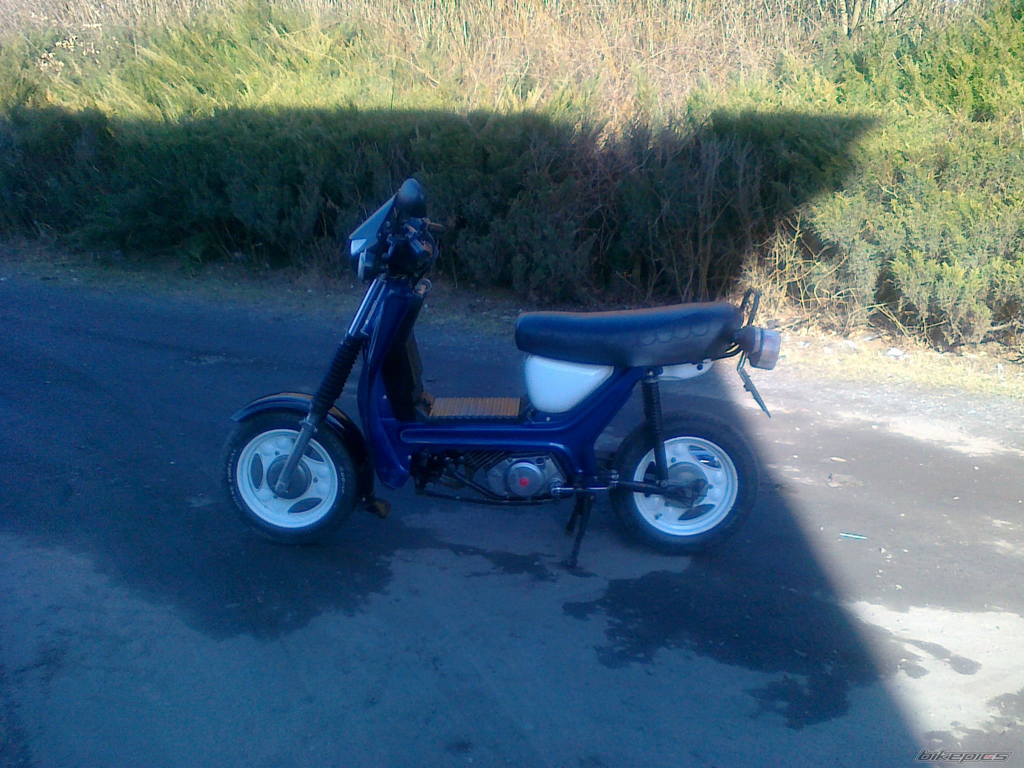 Photo 2367396