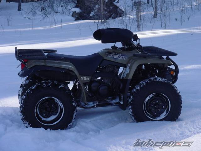 Photo 236740