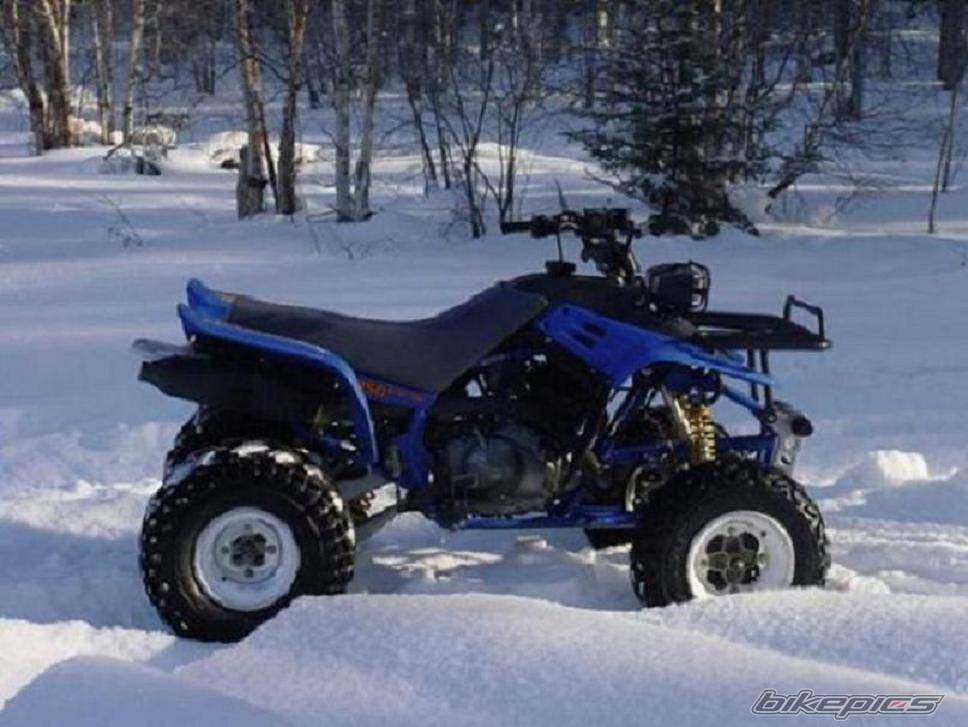 Photo 236741