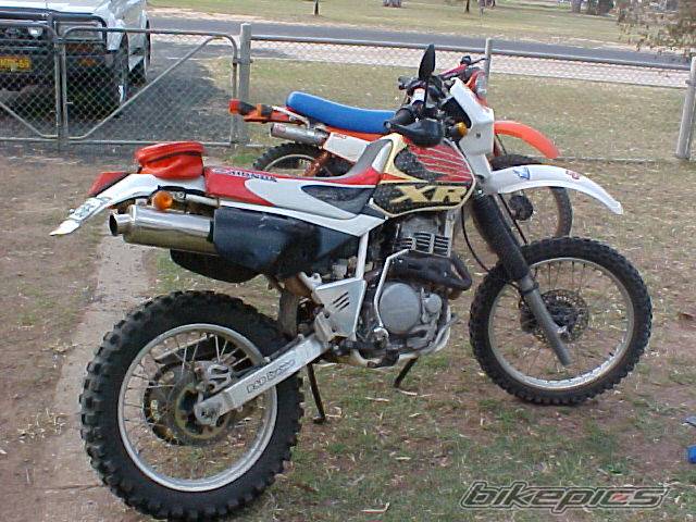 Photo 236748