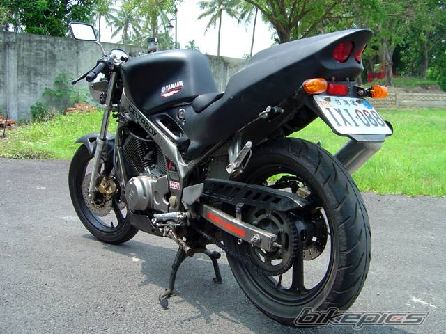 Photo 236758