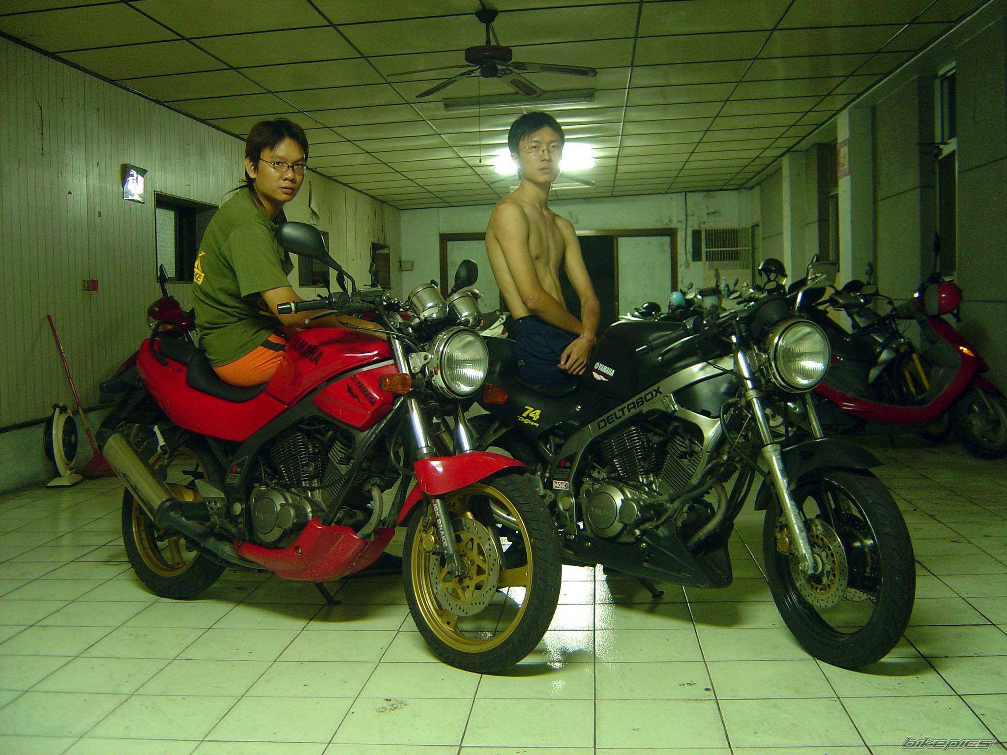 Photo 236763