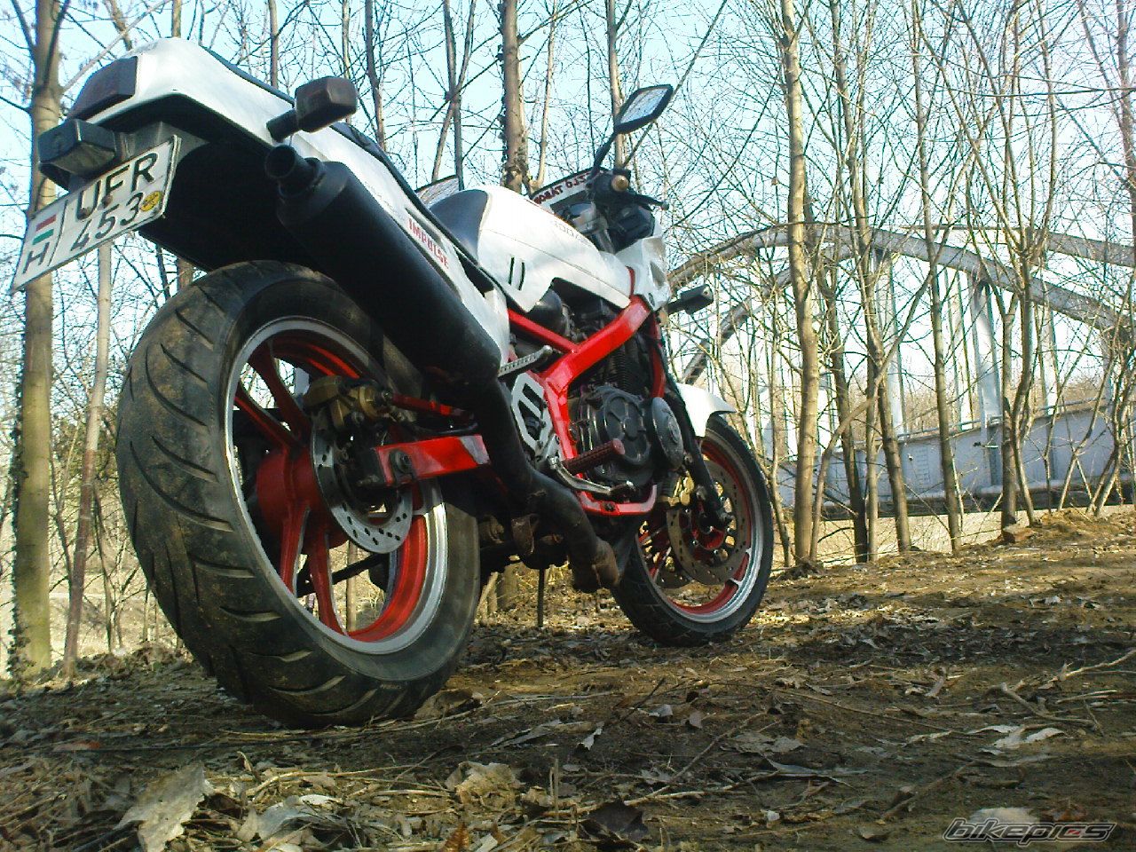 Photo 2367823