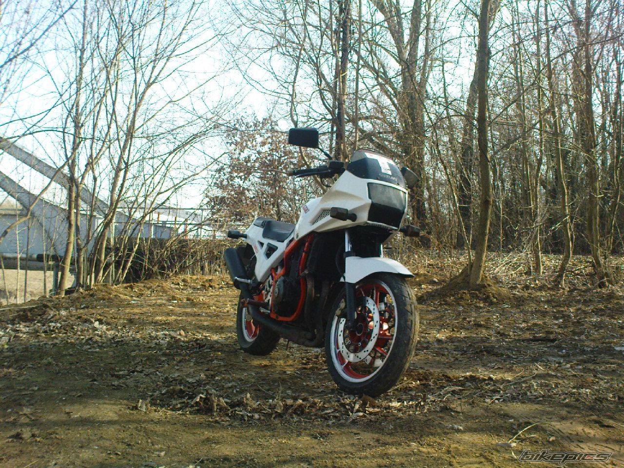 Photo 2367829