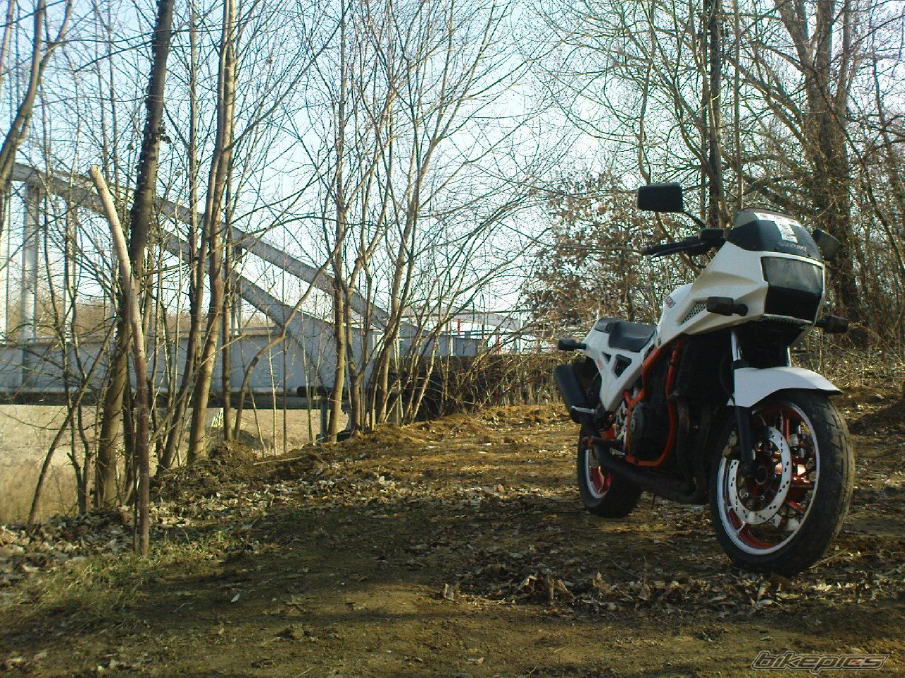 Photo 2367832