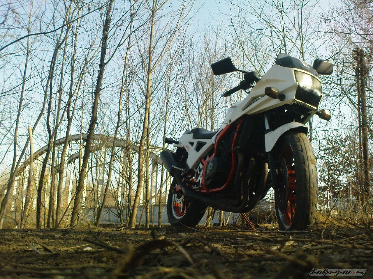 Photo 2367838