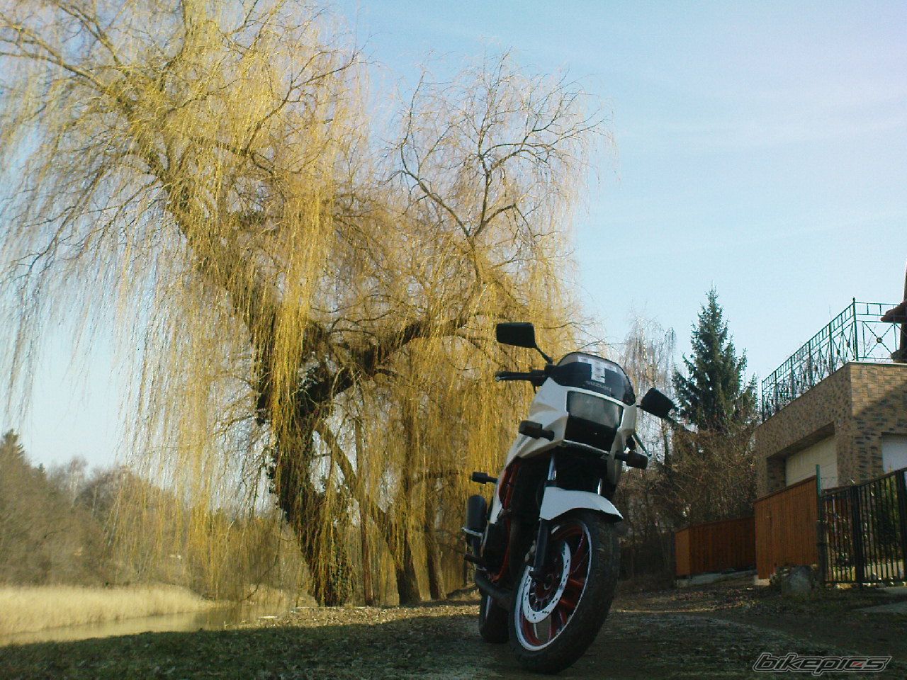 Photo 2367842