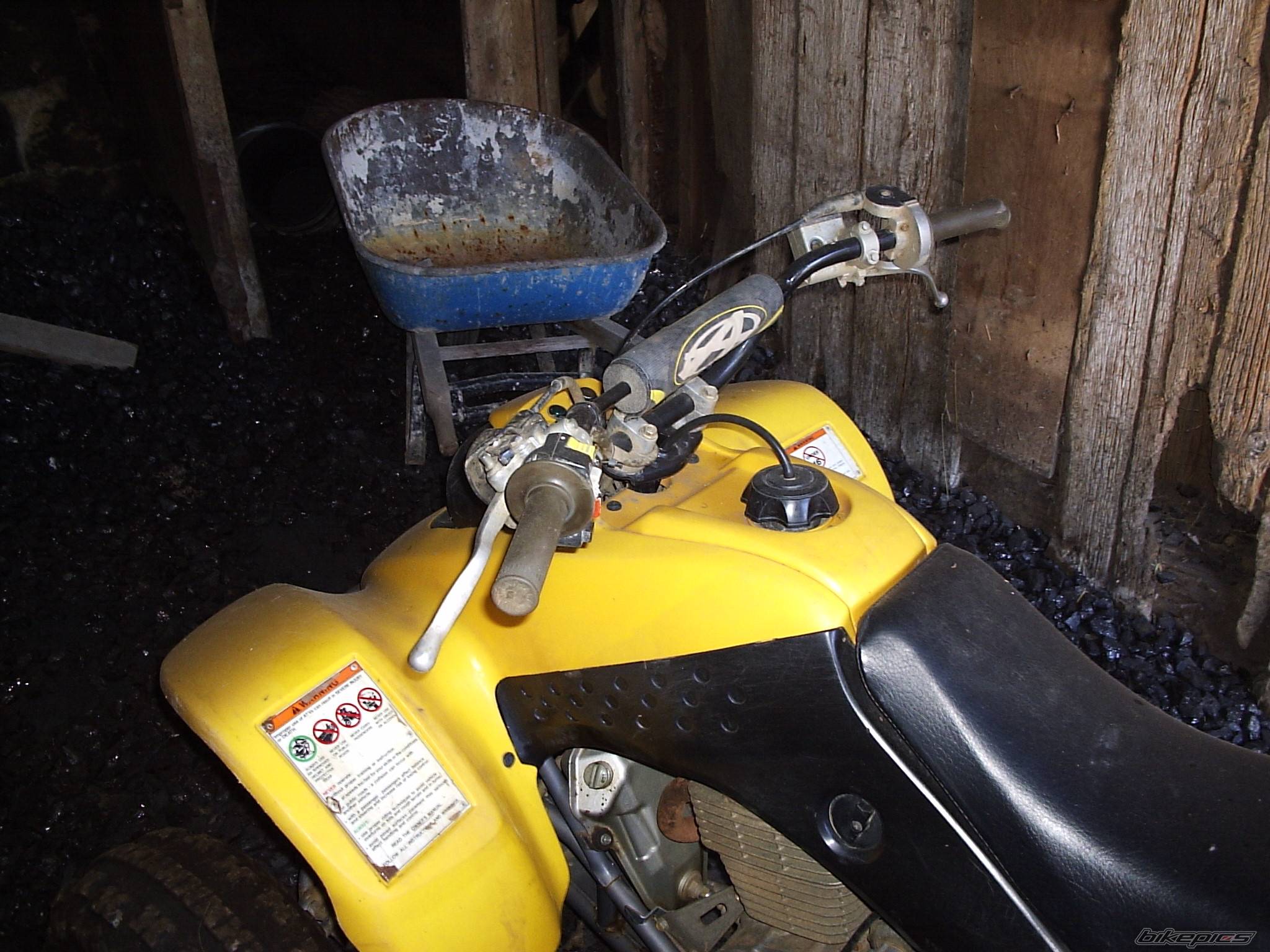 Photo 236789