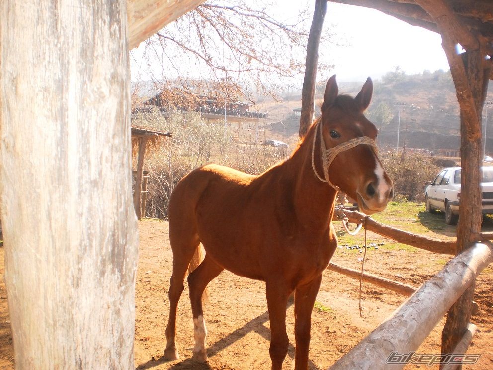 Photo 2367894