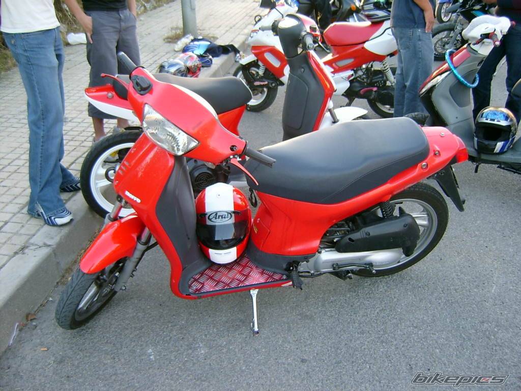 Photo 236792