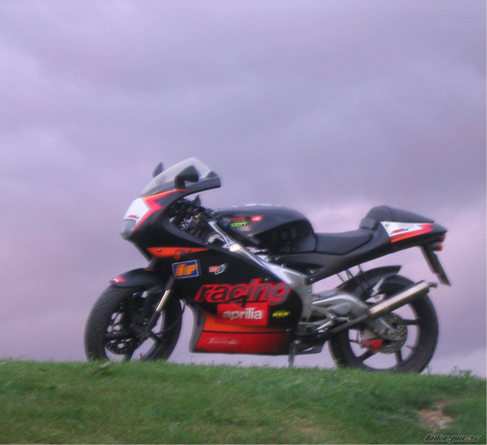 Photo 236794