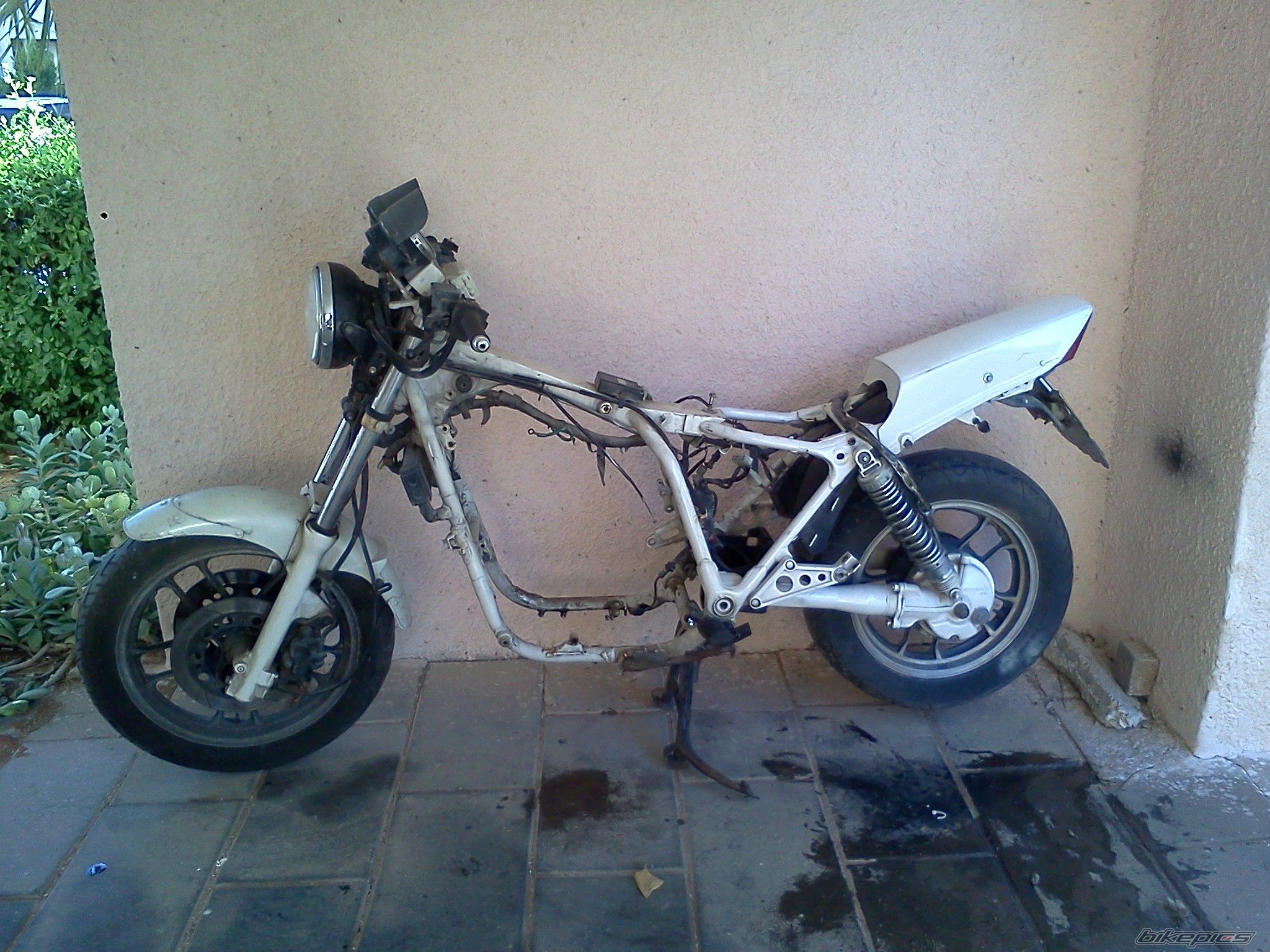 Photo 2368030