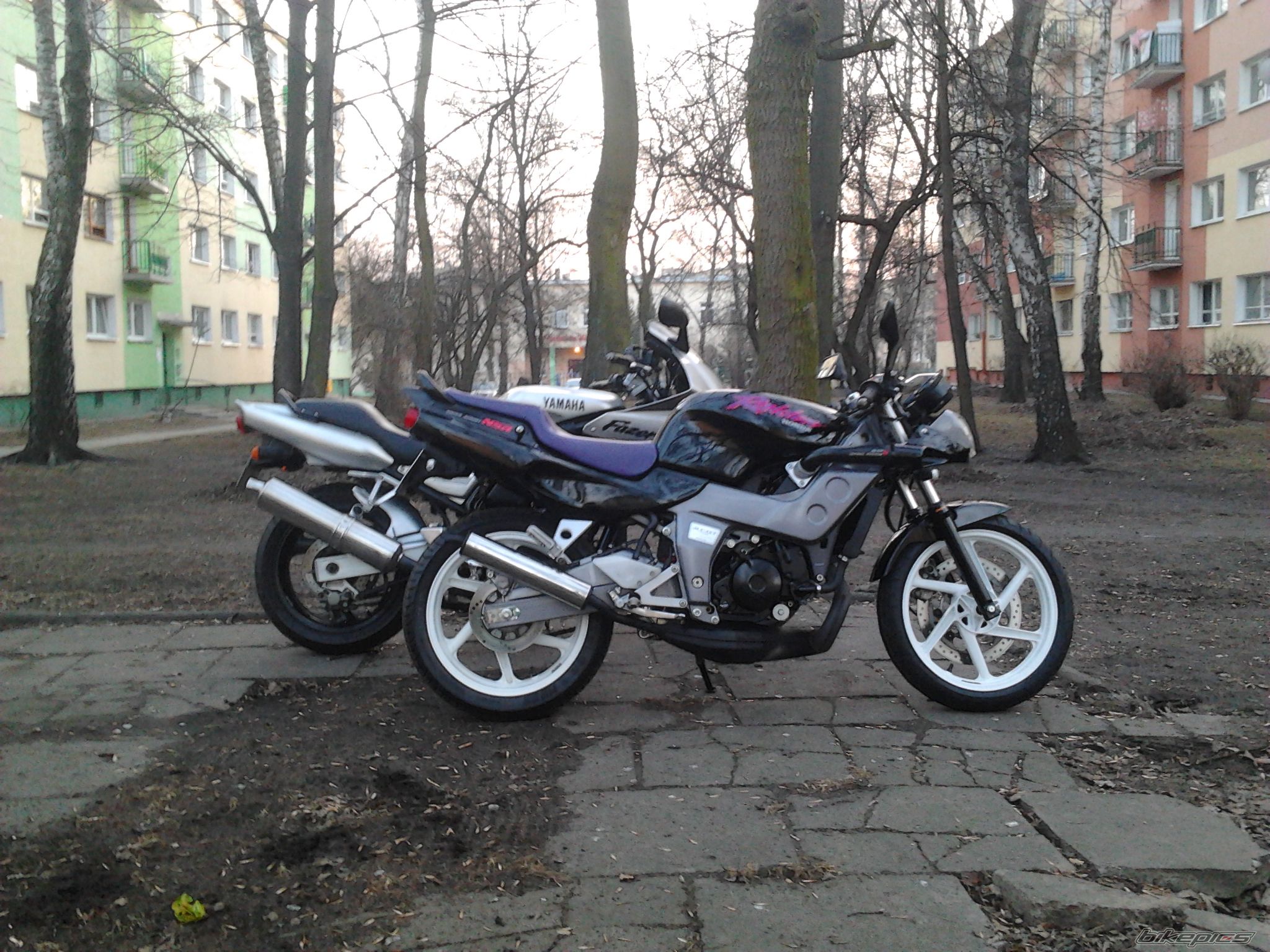 Photo 2368097