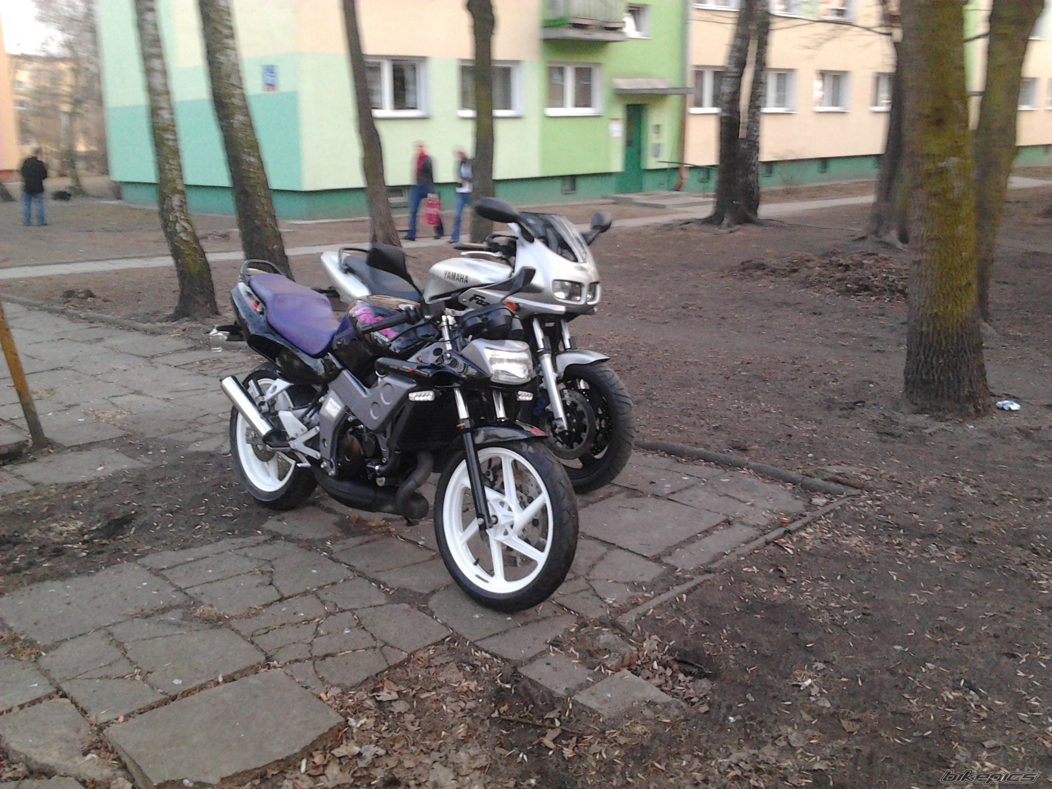 Photo 2368098