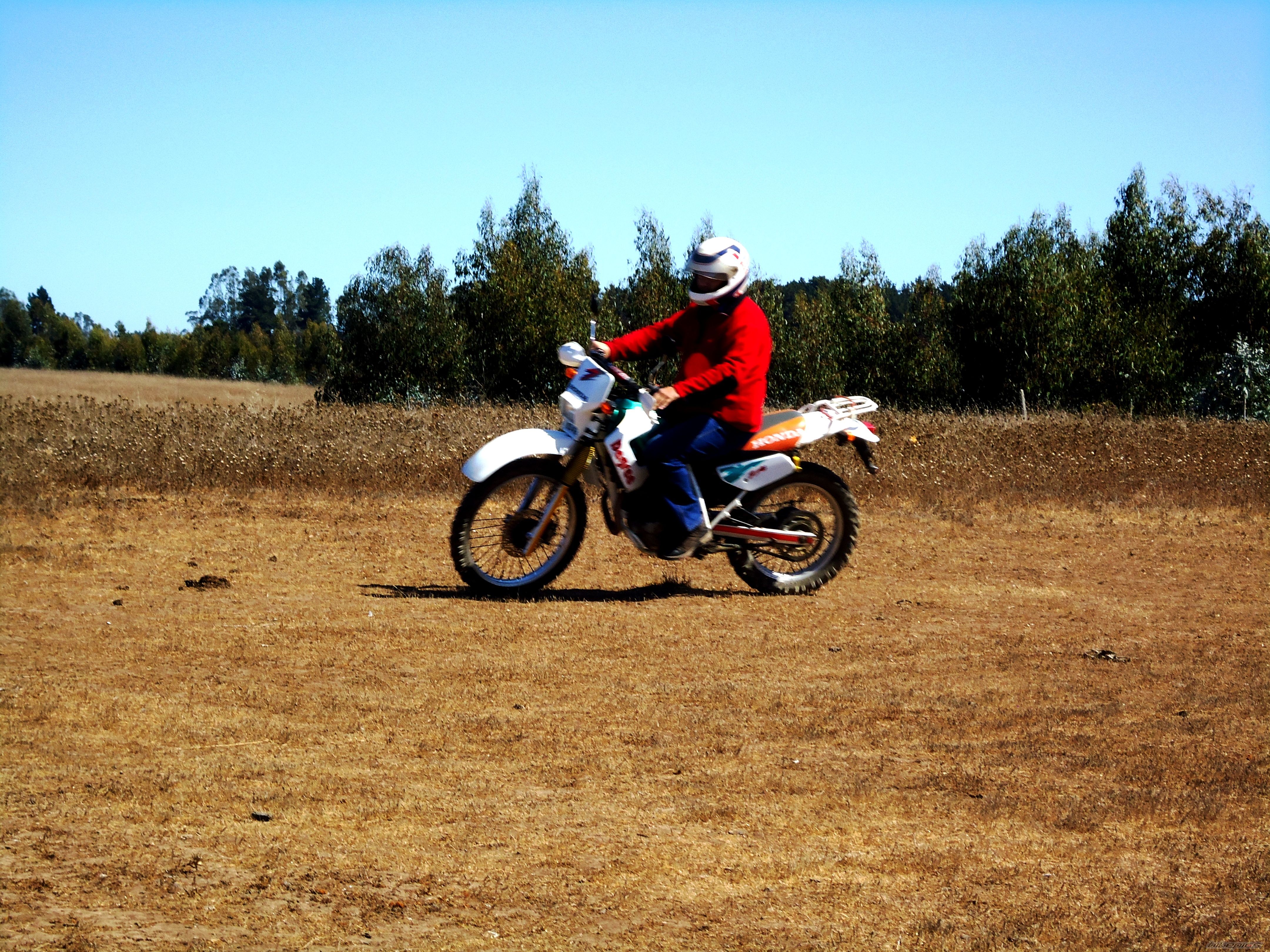 Bike Photo 2368198